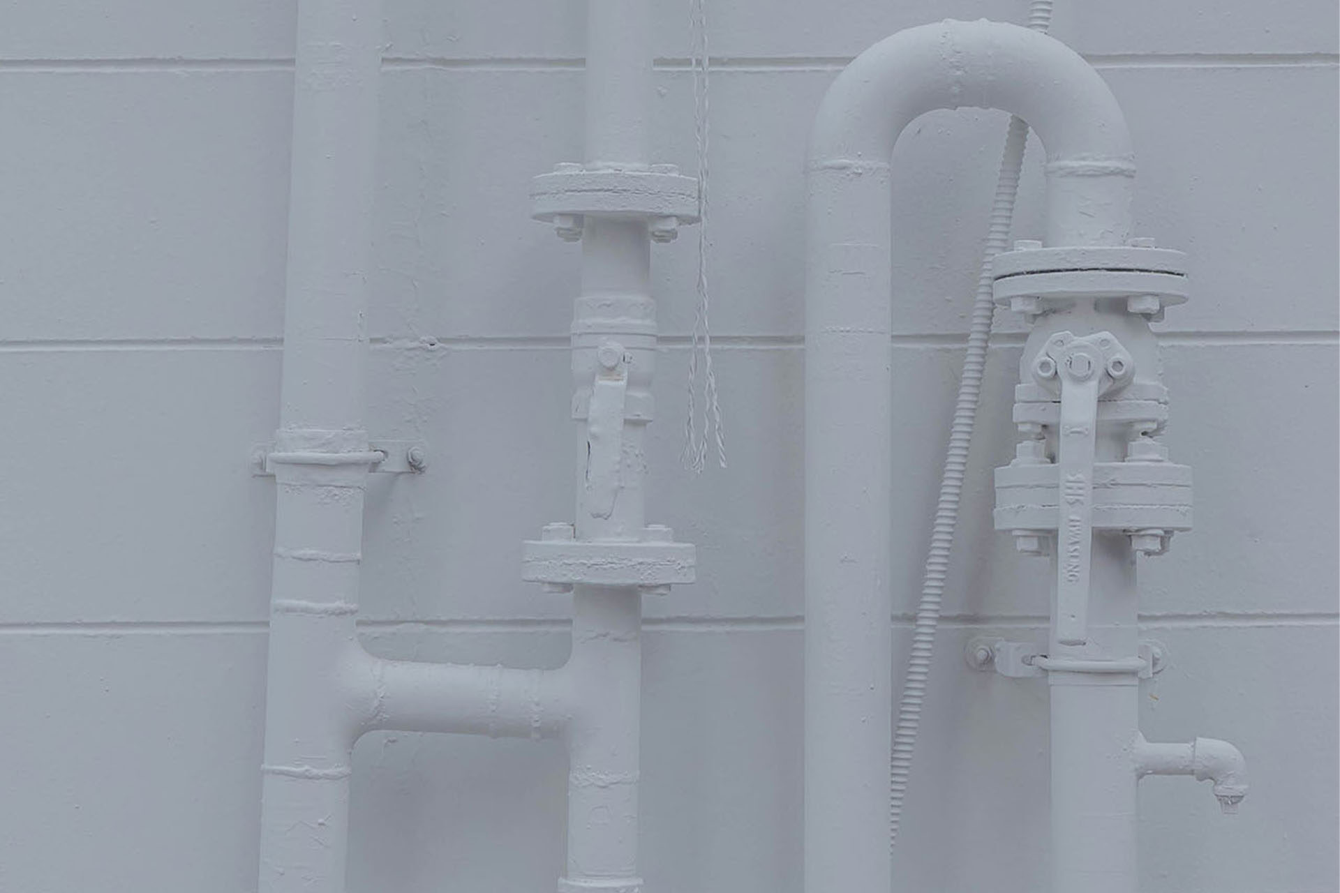 Yena kwon nq7g4yVa25M unsplash